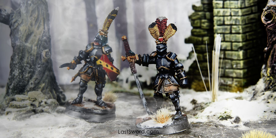 Reichguard foot knights Detachment (12) (Pre order) - Image 3